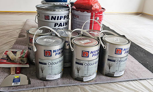 Best Paint best work